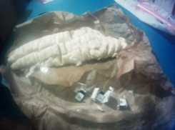 В колонию Камышина чеченка пыталась передать сало с сим-картами