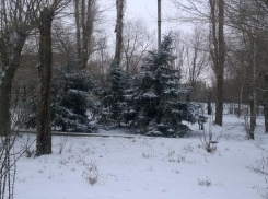 Весь город Волжский ночью завалило снегом