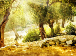 День радио в Волжском будет теплым и солнечным