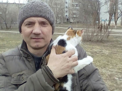 Волжанин снял с дерева кошку, которая просидела там пять дней