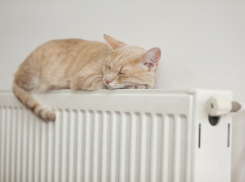 Когда ждать волжанам отопления?