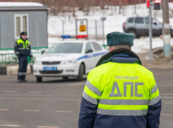 Ударила инспектора ДПС в пах: как волгоградка пыталась спастись от штрафа