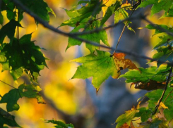 Воскресенье порадует волжан теплым солнышком