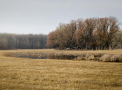 Вторник будет весенним