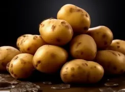 Золотой картофель: до 25% выросли цены на овощи за неделю в Волжском
