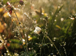 Дождливое утро обещает Международный день астероида
