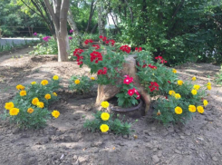 В Волжском подвели итоги конкурса по благоустройству: кто победил и почему