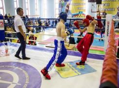 У волжан ворох медалей в чемпионате по кикбоксингу