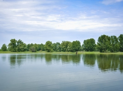 Волго-Ахтубинскую пойму спасут от засухи за 3 миллиарда рублей