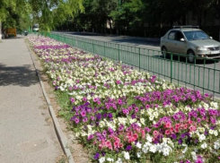 День рождения Волжский отметит в режиме онлайн