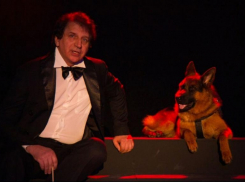 Ну ты пес! Казачий  театр пополнил лающий четырехлапый актёр 