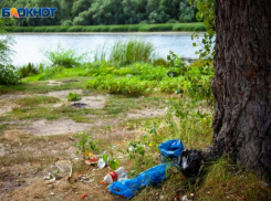 «Экоселфи – селфи с пользой»: волжан приглашают принять участие в фотоконкурсе