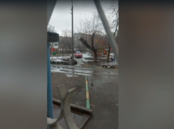 В Волжском автоледи ездила по детской площадке и пешеходной дорожке: видео