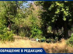 Заросшие дворы и запущенная детская площадка: волжанка пожаловалась на УК