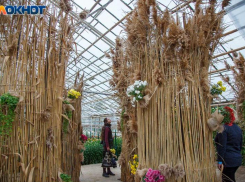 Волжанам не рекомендуется менять постельное  белье в субботу