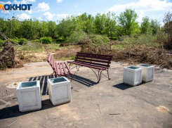 Как летом: до +26 градусов прогнозируют в Волжском