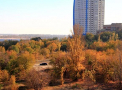 При пожаре в пойме реки Царицы погиб неизвестный мужчина