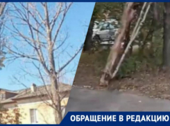 Второй месяц во дворах Волжского не могут убрать упавшие деревья и сухие деревья