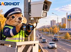 В Волгоградской области установят ещё 265 дорожных камер