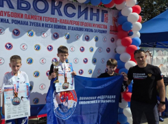 Волжские кикбоксеры покорили пьедестал Кубка Дубовки, посвятив победу героям