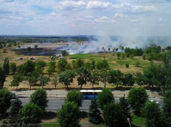 Виновника возгорания в парке «Волжский» поймали и передели в полицию 