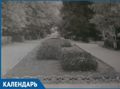 12 ноября в Волжском завершилась выставка цветов