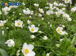 Волжан ожидает затишье после бури: прогноз погоды на воскресенье