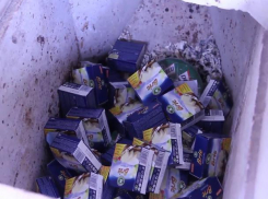 В Волжском уничтожили санкционный сыр