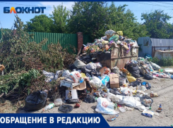 С приходом временного управляющего в СНТ «Труд» под Волжским перестали вывозить мусор