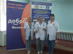 Волжские активисты подвели итоги акции «Красная гвоздика»