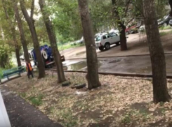 Мою маму едва не убило дерево на Кирова, - волжанка