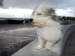 Синоптики предупредили волжан о надвигающейся штормовой буре