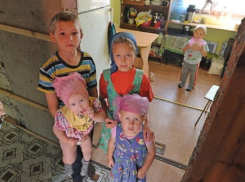 Прокуратура Волжского вернула право семье на землю