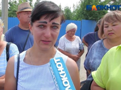 Председатели загнали своих садоводов в долги на 11 миллионов