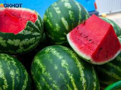 Как выбрать сочный арбуз и сладкую дыню: раскрываем секреты для волжан