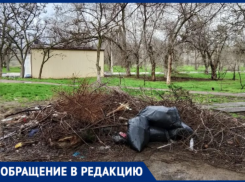 «Каждое утро выходишь и смотришь на эту шляпу»: волжане требуют убрать гигантскую кучу веток на Пушкина, 108