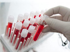 Главное о COVID-19 в Волгоградской области за 1 февраля