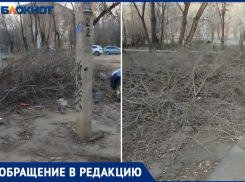 В Волжском дворе более 3 месяцев лежат огромные кучи сухих веток: видео