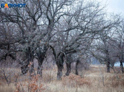 Переменная облачность и мокрый снег: прогноз погоды на среду 