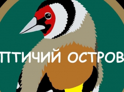«Полноценный заказ»: в регионе хотят закрыть центр реабилитации для животных «Птичий Остров»