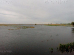Под Волжским возродили озеро Широкогорлое, подготовив «почву» для жизни сазанов