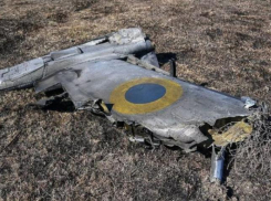 Над Волгоградской областью сбиты два беспилотника: сводка Минобороны о ночной атаке