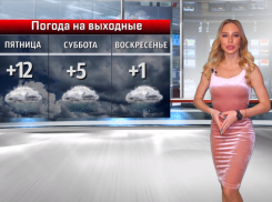 Погода в День ребенка не порадует волжан: прогноз