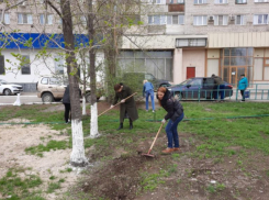 В Волжском прошел всероссийский субботник