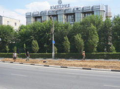 На проспекте Ленина обновят главную клумбу Волжского