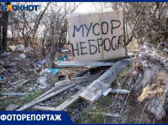 Волжский СНТ «Строитель» складирует мусор: жители жалуются на образовавшиеся свалки и бездействие