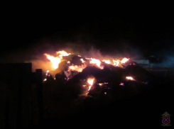 Волжанин поджог ферму работодателя за то, что тот не доплатил ему зарплату