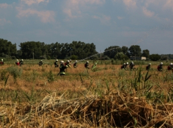 В Средней Ахтубе более 120 спасателей тушили масштабный « лесной пожар»