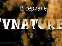 Камышане выложили на YouTube вторую серию «Внатуре»