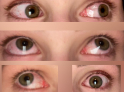 Волжане массово жалуются экологам города на вонь от выбросов